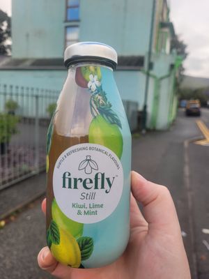 Still Kiwi, Lime and Mint at FRÂN Las in Llanberis