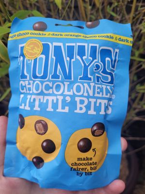 Tony's Chocolonwly Littl' Bits at FRÂN Las in Llanberis