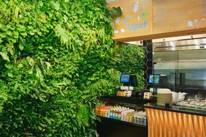 NuLeaf - 888 8th Ave at NuLeaf - Hell's Kitchen in New York City