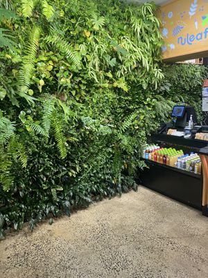 Growth   at NuLeaf - Hell's Kitchen in New York City