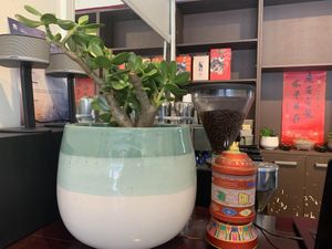   at Karma Tea House in Wollongong