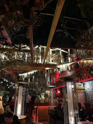   at Komiteti in Tirana