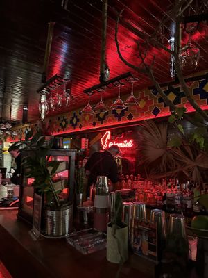   at Komiteti in Tirana