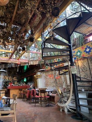   at Komiteti in Tirana