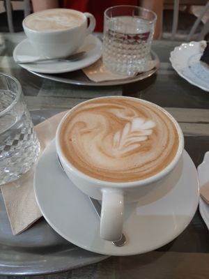  at Tree Sisters in Prague