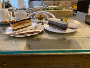  at Tree Sisters in Prague