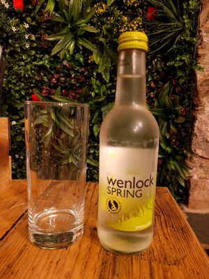 Sparkling Water at Prince Llewelyn Hotel in Beddgelert
