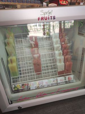 Vegan ice cream at De Lekkerbek in Vrouwenpolder