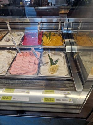 Vegan Ice Cream Flavours at Martinucci in Gallipoli