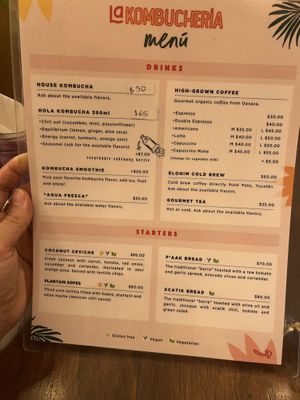   at La Kombucheria in Merida