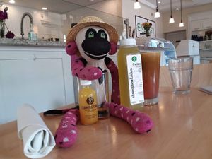 Pepper the traveling sock monkey always stops at CK's when going down the highway at Christopher's Kitchen in Palm Beach Gardens