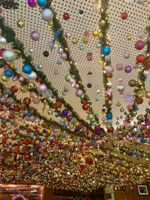   at Cafebar Colomba in Amberg