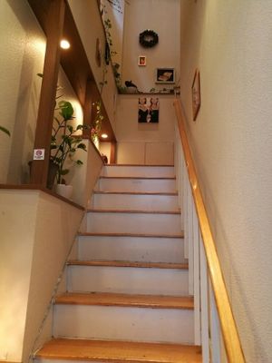 entrance at Cafe Atl in Osaka