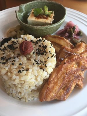Tofu, rice  at Cafe Atl in Osaka