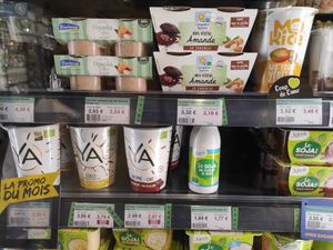Iogurts at Biocoop in Vannes