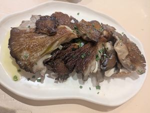   at La Papa in Barcelona