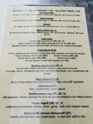 Ve9, Vegetarian and Gluten free menu at Aragon's in Ludlow
