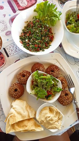 Falafel kroznik at Tsnim in Kamnik