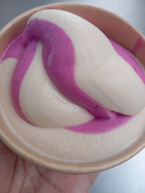 Vanilla and Pitaya Ice cream at Passo Natural in Luanda