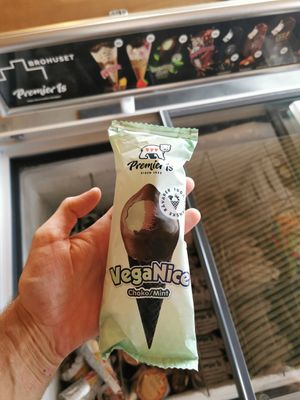 VegaNice at Brohuset ved Hammershus in Allinge