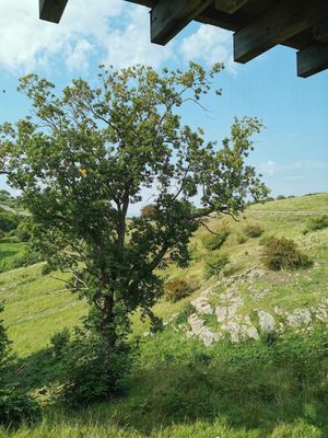 View at Brohuset ved Hammershus in Allinge