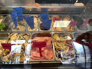 Many vegan flavours!  at Die Eisbande in Hamburg