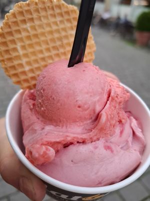  at GelatOne in Esslingen