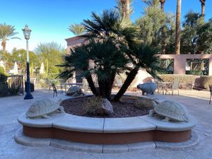 Outside dining plaza at Tacotarian in Henderson