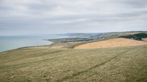 Cardigan bay looking towards the Llyn peninsula at The Green Door Vegan B&B - Pet-friendly Room in Llanon