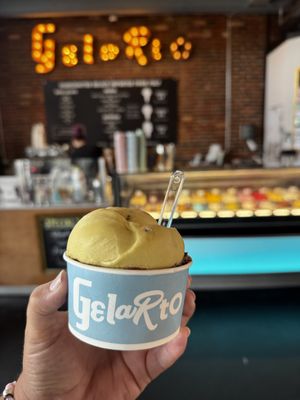 Mint chip & dark chocolate   at GelaRto in Wilmington