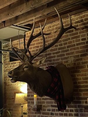 Gross at White Rabbit Gastropub in Frederick