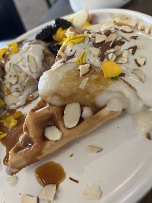   at Fancy Plants Kitchen in Chicago