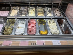 Several vegan flavours   at La Gelatiera - OXO Tower in South East London