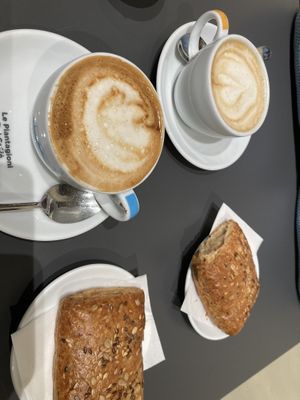 Oat cappuccinos and vegan “croissants"  at Ben Caffè in Florence