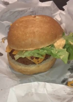 Stinger at Lord of the Fries in Malvern East