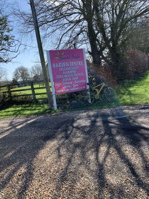 In the garden centre   at The Jackfruit Coffee Shop in Saundby