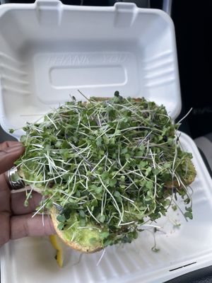 Horizon Toast  at Sol Bol in Visalia