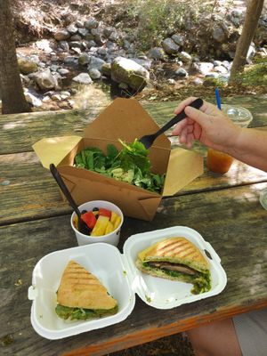 Spring Green panini and blueberry quinoa salad at Rooted: Eat More Plants in Medford