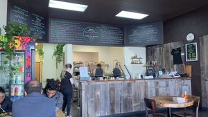 Counter service   at Rooted: Eat More Plants in Medford