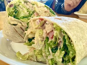 Buffalo Wrap  at Rooted: Eat More Plants in Medford