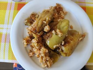 Stuffed peppers at Novus Traditional Food Restaurant in Vlore