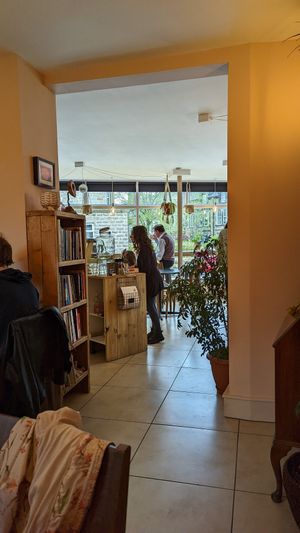View from back room at Nourish Plant Kitchen in Harrogate