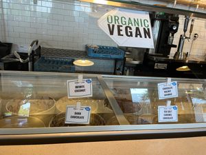 Inside with some of the ice cream flavors at Karma Cream in Gainesville