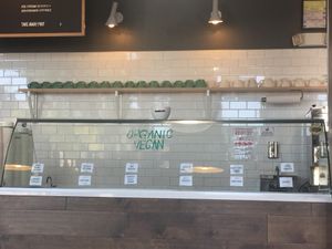 Vegan Icecream at Karma Cream in Gainesville