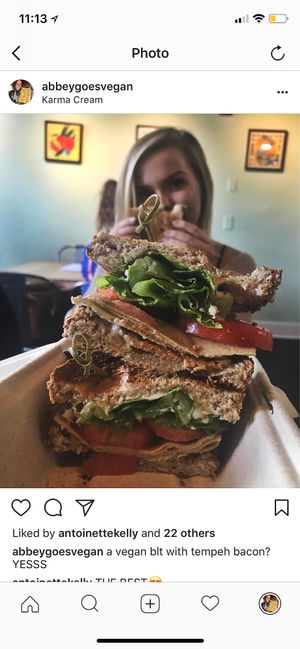 Goodness at Karma Cream in Gainesville