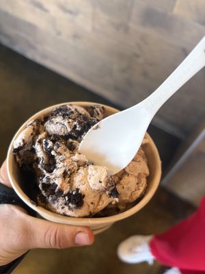 Ice cream: cookies and cream & apple pie  at Karma Cream in Gainesville
