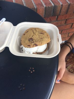 vegan ice cream cookie sandwich  at Karma Cream in Gainesville