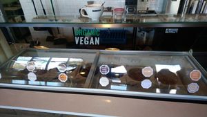 All the vegan options at Karma Cream in Gainesville