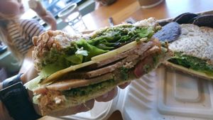 The pestrami!!! at Karma Cream in Gainesville