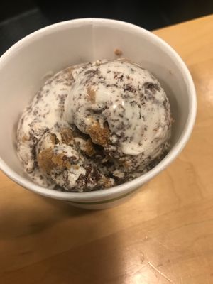 Organic Vegan Chocolate Chip was 🔥 at Karma Cream in Gainesville